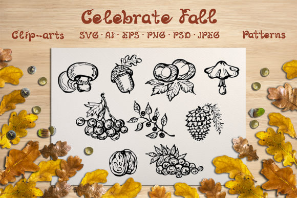 Fall Elements, Cards and Patterns: A Practical Evaluation for Design Projects