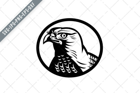 Northern Goshawk: Retro Woodcut Art for Design