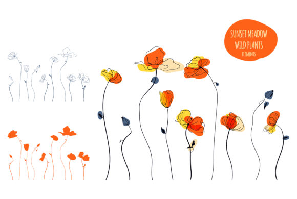 Sunset Meadow Wild Plants: Hand-Drawn Illustrations & Patterns